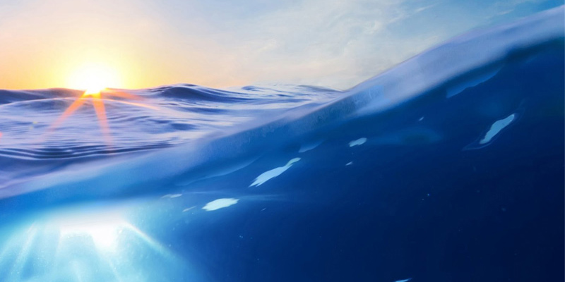 Wasser