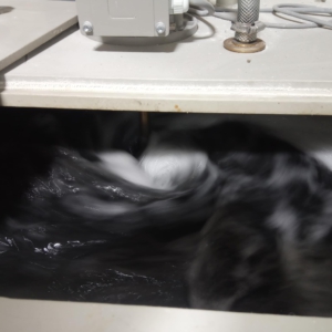 WtR_ESA_Sed500_Rührwerk_aktiv