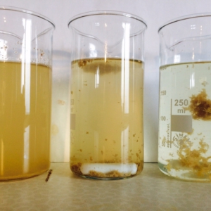 WtR_Labor_Nitratfällung