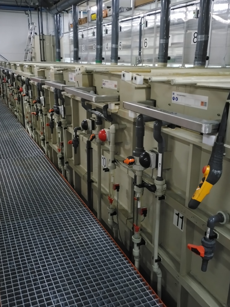 März 2024 Ertüchtigung von Tauchspülen und Spritzspülen